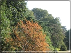 foto Parco Sebellin in Autunno